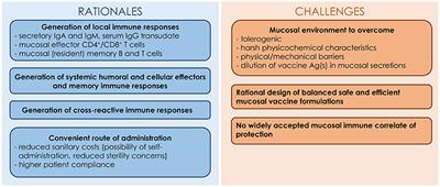 Innovative Mucosal Vaccine Formulations Against Influenza A Virus Infections